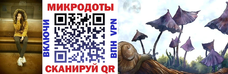 Галлюциногенные грибы Cubensis  где продают наркотики  Красноярск 